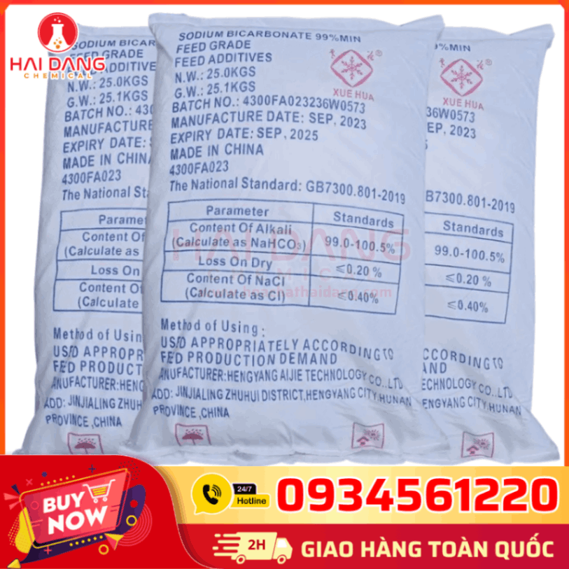 Baking Soda 99% China – Dạng Bột Trắng, Dễ Tan, Dùng Trong Thực Phẩm, Làm Bánh, Tẩy Rửa Và Trung Hòa Axit
