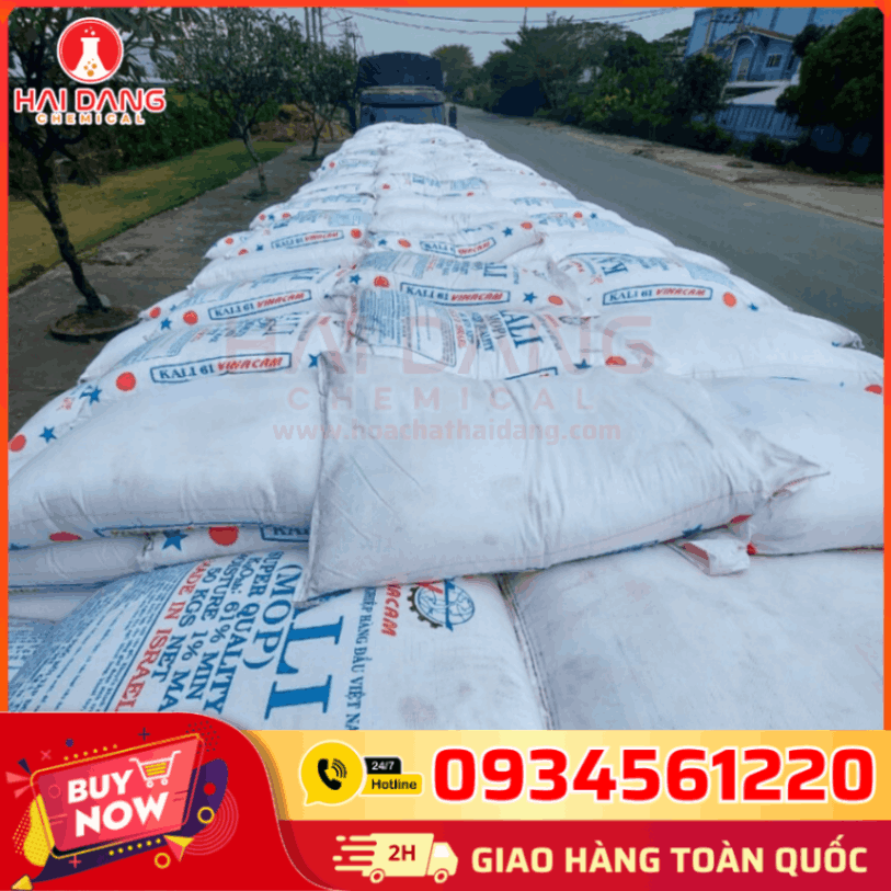 Bao 50kg KCl Kali Clorua 99% Xuất Xứ Israel – COA MSDS Đầy Đủ