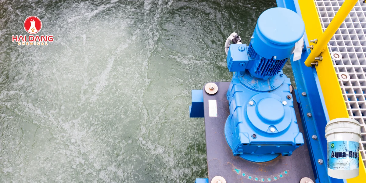 Mua Chlorine Aqua ORG 70% Xử Lý Nước Thải Ở Đâu Bắc Ninh – Giá Tốt, Giao Nhanh